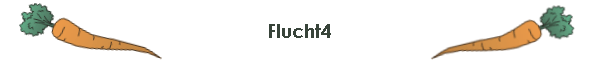 Flucht4